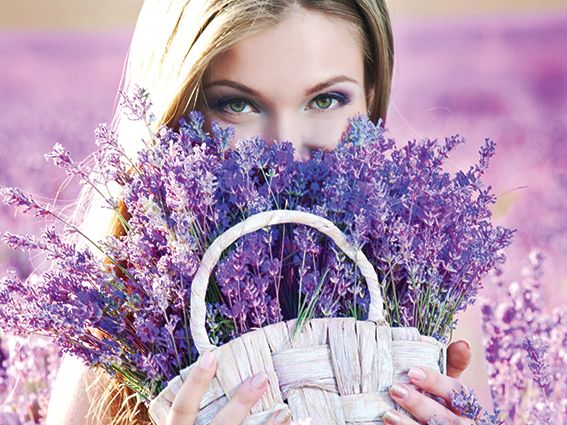 Franchise opportunities - L’Arôme Perfumes Franchise opportunities - L’Arôme Perfumes