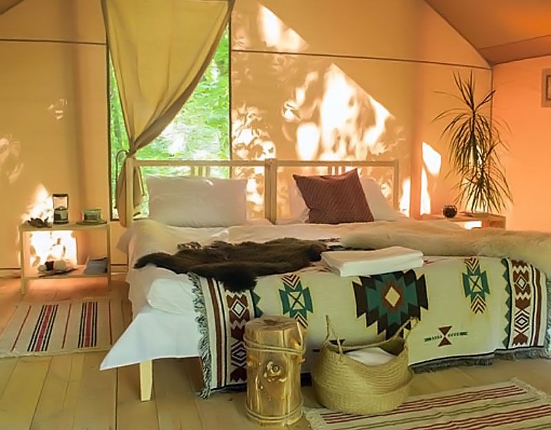 successful OneGlamping franchise business