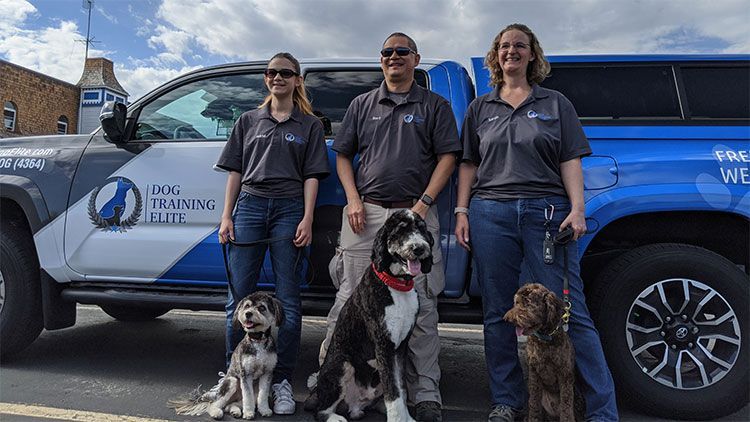 Dog Training Elite franchise