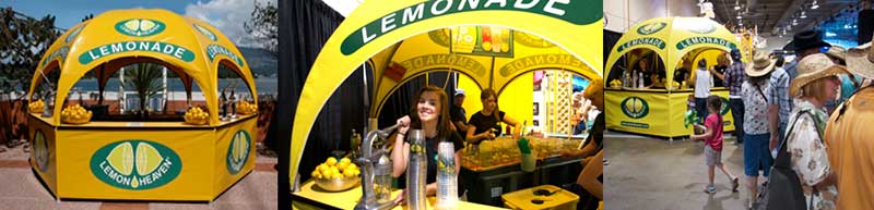 Lemon Heaven Beverages Inc franchise