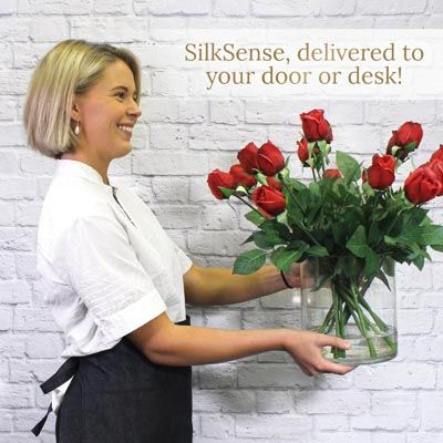 Best Franchise to Open - SilkSense