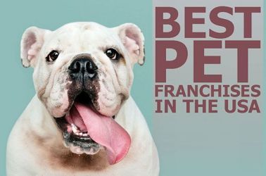 Best 10 Pet Franchises in USA in 2023