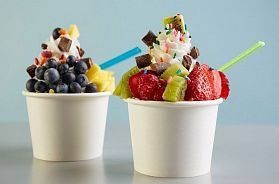 TOP 4 frozen yogurt franchises