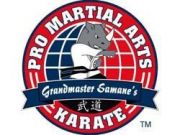 Pro Martial Arts franchise company