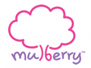 Mulberry Learning franchise company