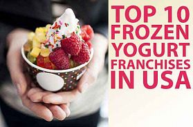Top 10 Frozen Yogurt Franchise Opportunities in USA for 2023