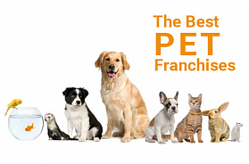 The Best 8 Pet Business Franchises to Own 2021
