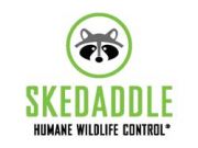 Skedaddle franchise company