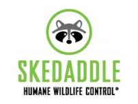 Skedaddle franchise