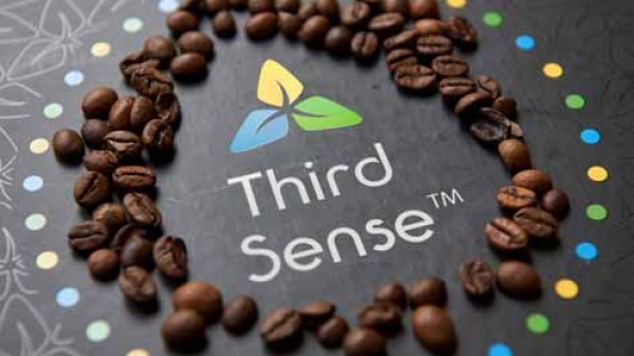 Third Sense franchise