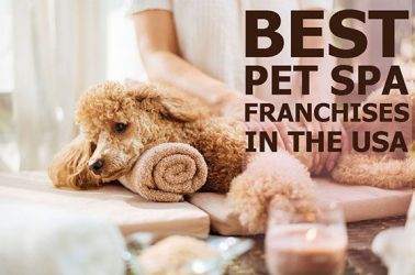 Best 10 Pet Spa Franchises in USA in 2023