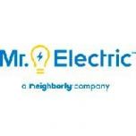 Mr. Electric franchise