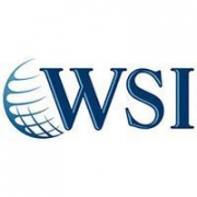 WSI franchise company