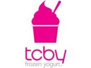 TCBY Frozen Yogurt franchise company