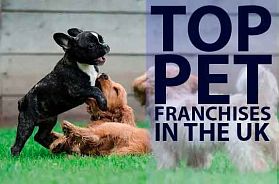 Top 10 Pet Franchise Business Opportunities in the UK in 2022