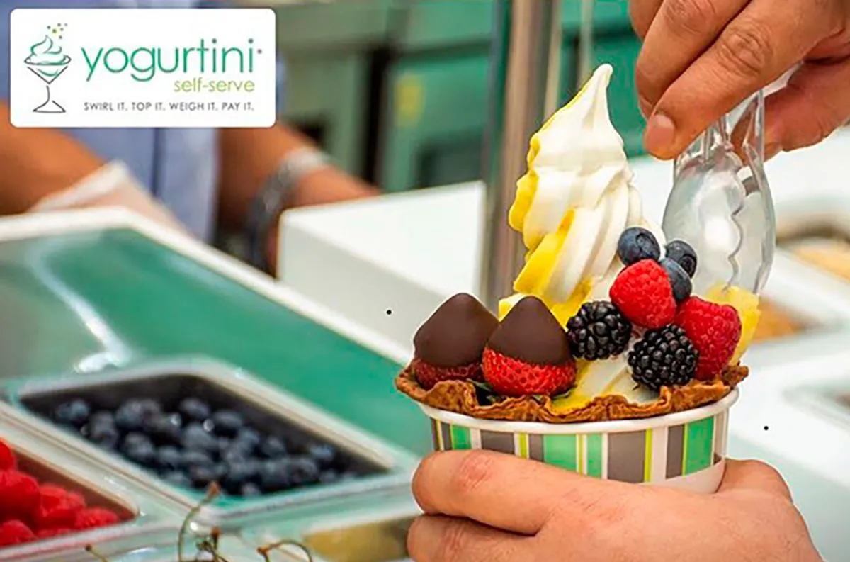 Yogurtini Franchise Cost & Fees How To Open Opportunities And