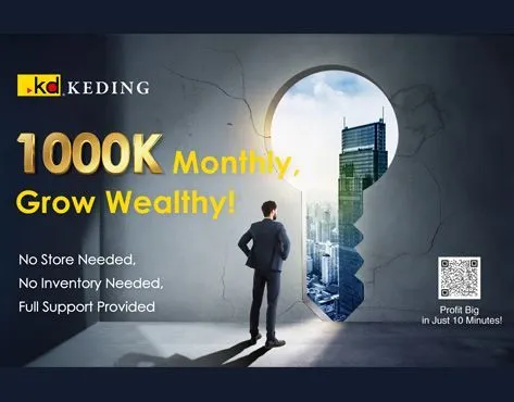 Keding Enterprises franchise – From Distributor to Future: 1000K Monthly, Grow Wealthy - image 2