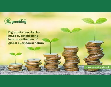 Greening.Global Franchise - Paulownia wood