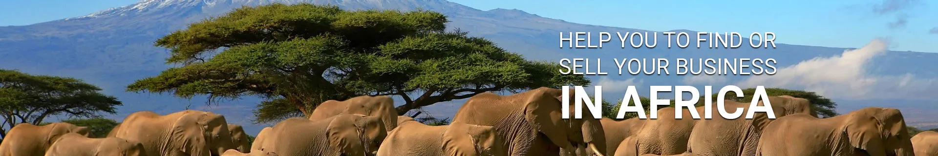 franchises in Africa