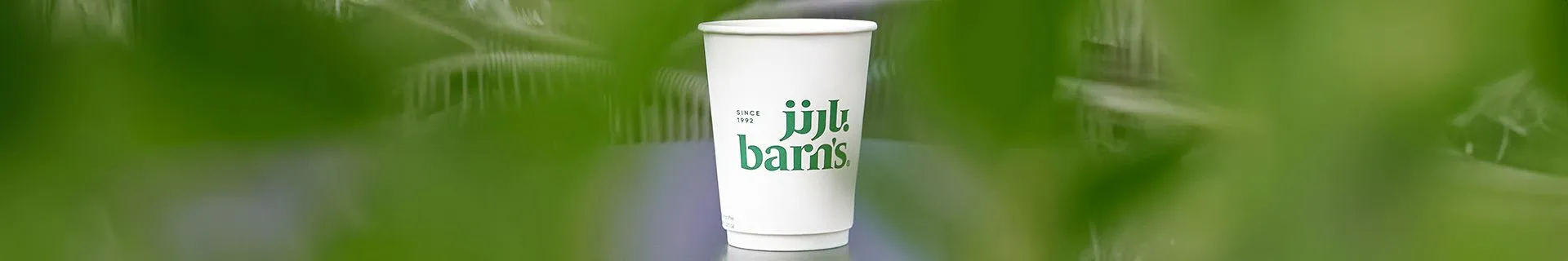 Barn's (страны)
