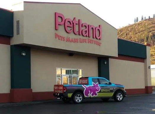 Petland franchise for sale