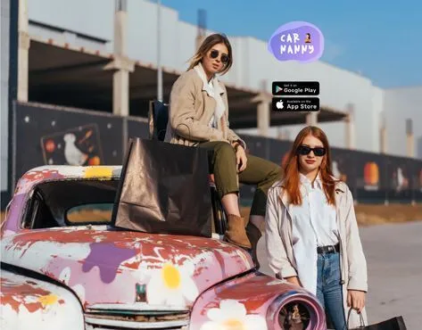 Car nanny - a taxi franchise for children - image 2