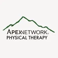 ApexNetwork logo