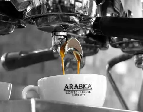 Arabica Coffee House Franchise For Sale
