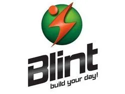 Blint Shakes logo