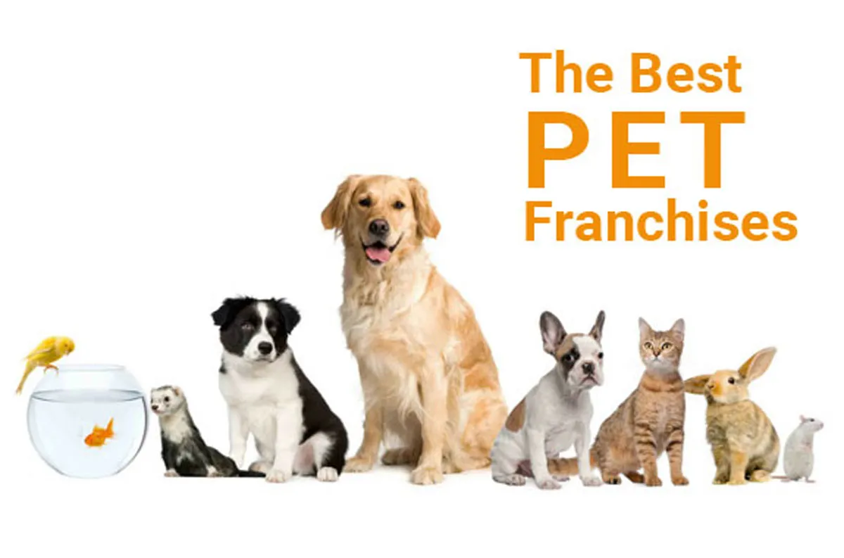 The Best 8 Pet Franchises to Own 2023