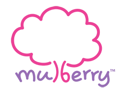 Mulberry Learning franchise