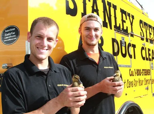 Stanley Steemer Franchise