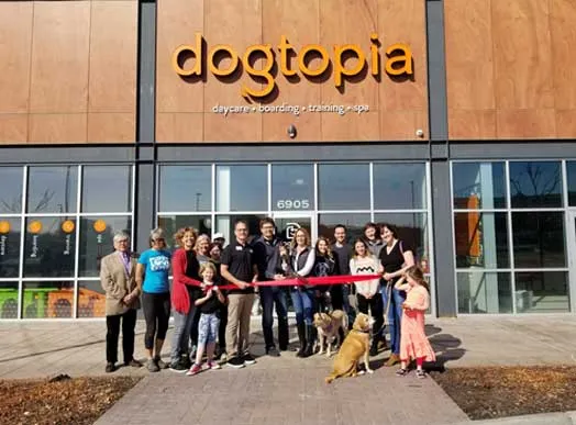 is dogtopia a good franchise