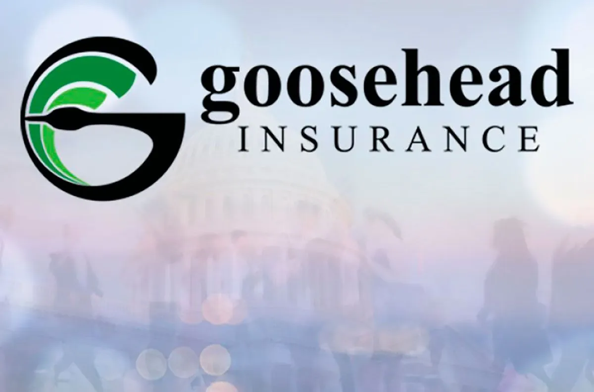 Goosehead Insurance Franchise Cost & Fees How To Open Opportunities