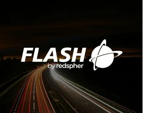 FLASH Franchise For Sale - Worldwide Logistics Company - image 4