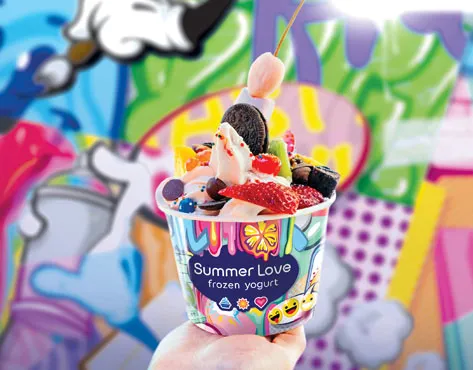 Summer Love Frozen Yogurt - Franchise for sale - image 2