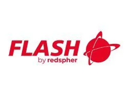 FLASH logo