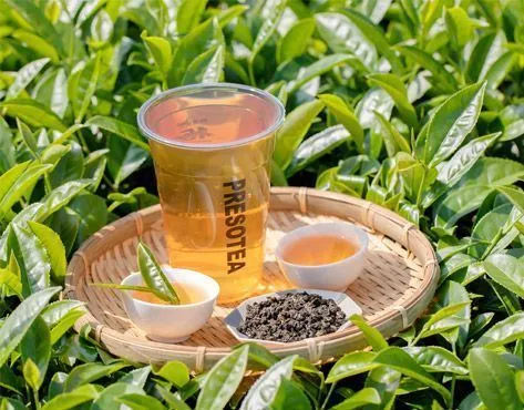 PRESOTEA Franchise