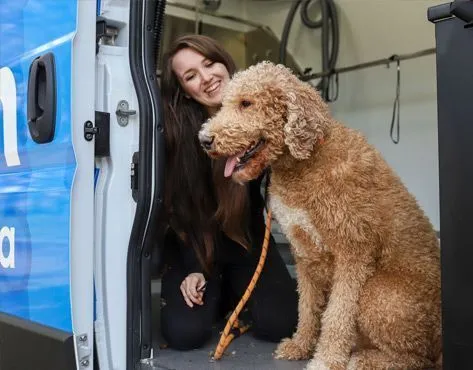 Zoomin Groomin Mobile Pet Spa franchise For Sale - image 3