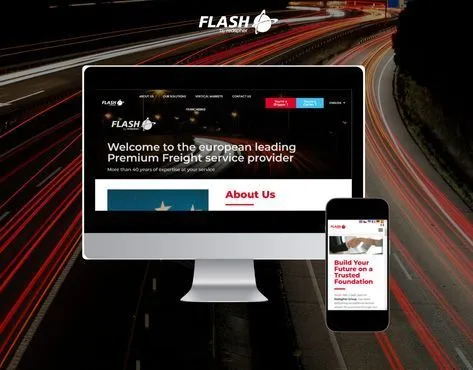 FLASH Franchise For Sale - European Logistics Company - image 2