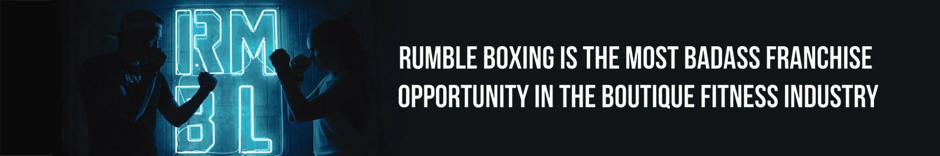 Rumble Boxing (категории)
