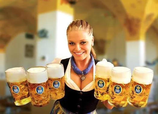 Hofbrauhaus of America Franchise Opportunities