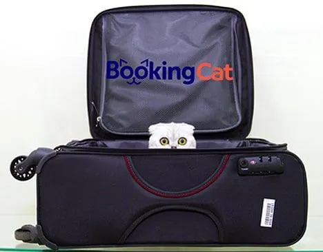 BookingCat Franchise For Sale - Pet Hotels Chain
