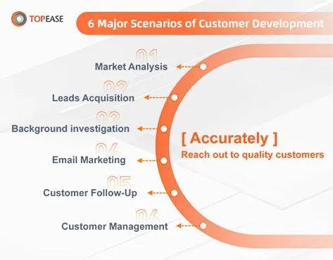 Topease Franchise For Sale - Data Analysis Service