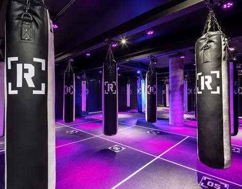 Rumble Boxing Studios Franchise For Sale Cost Fees All