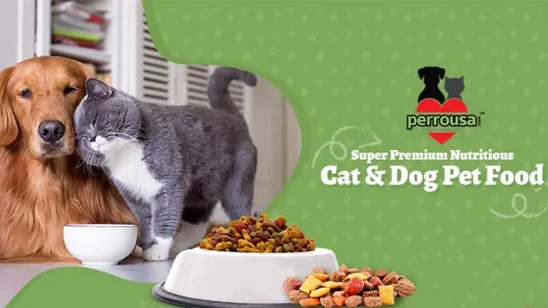 Top 6 Pet Food Delivery Franchise Businesses in USA for 2022