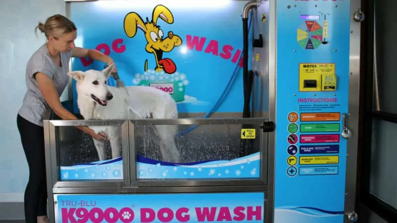 Dog wash business online