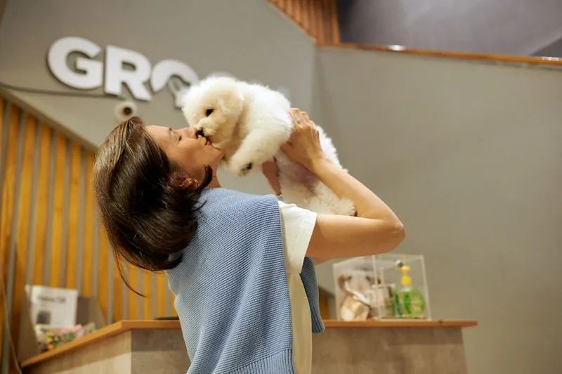 GROOM Franchise For Sale Pet Grooming Salon Cost & Fees All