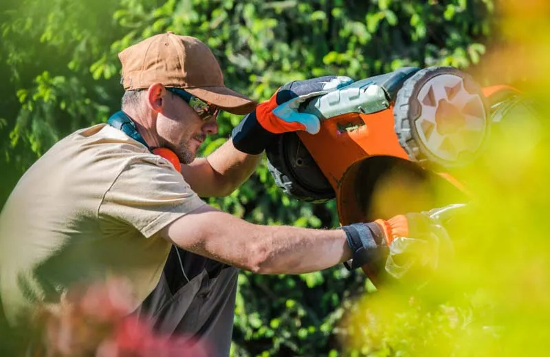 Mower Doc Franchise Cost & Fees All Details & Requirements