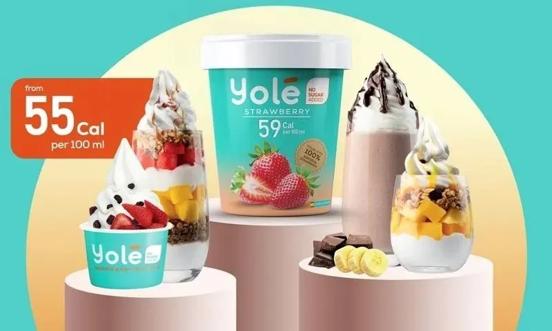 Frozen yogurt franchise deals